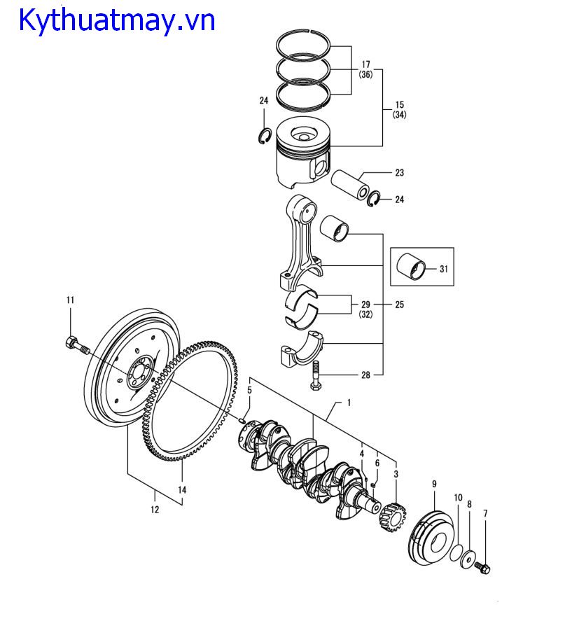 Pitton và trục cam